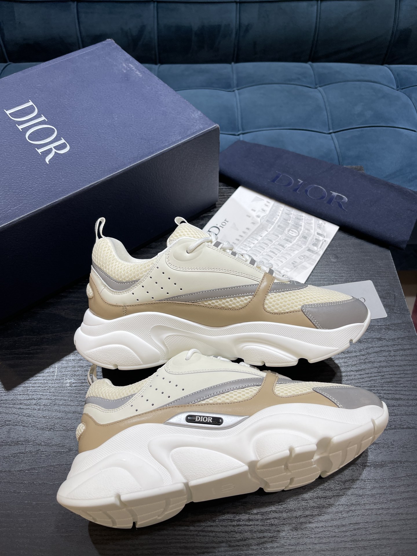 DIOR B22