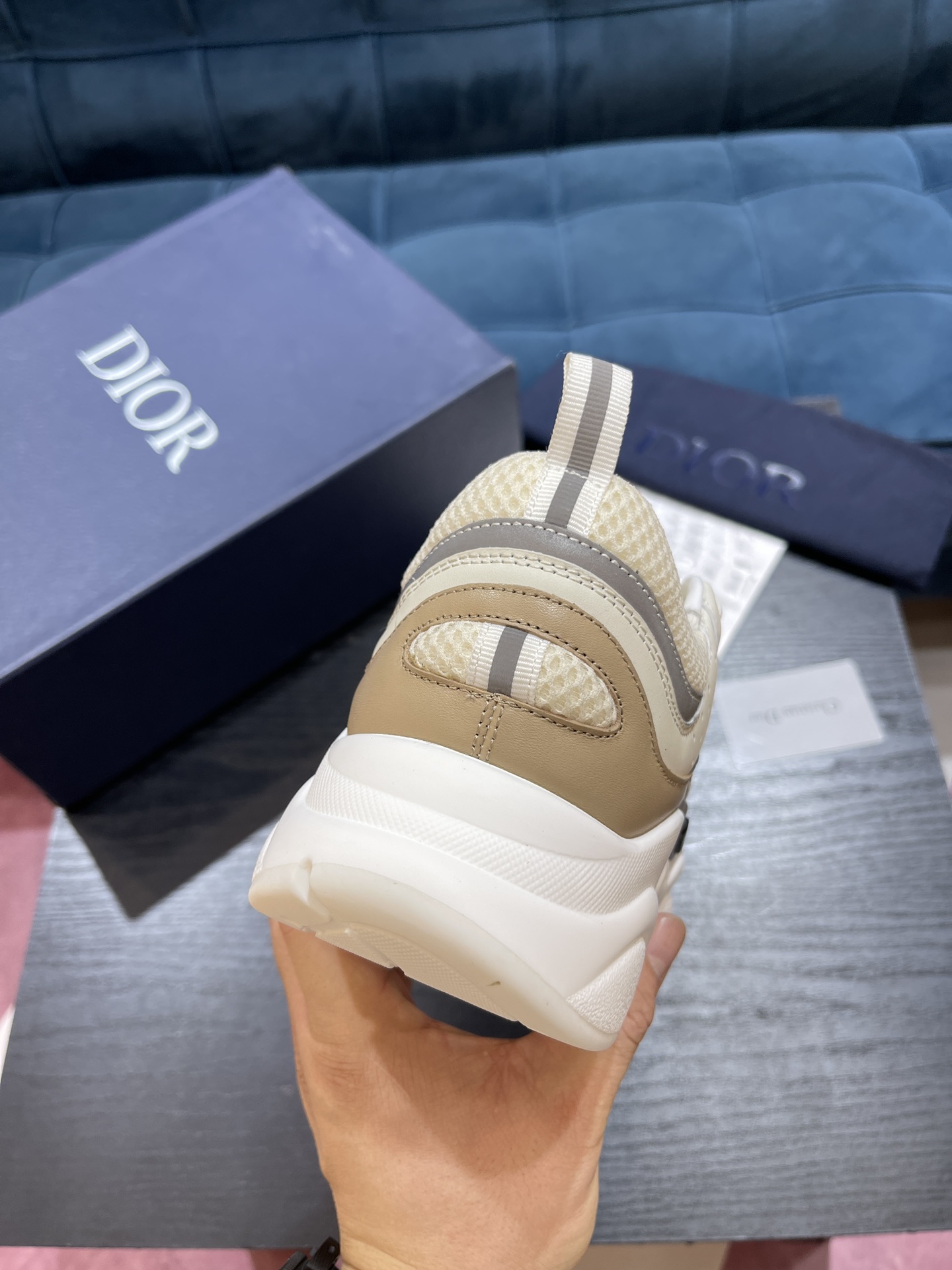 DIOR B22