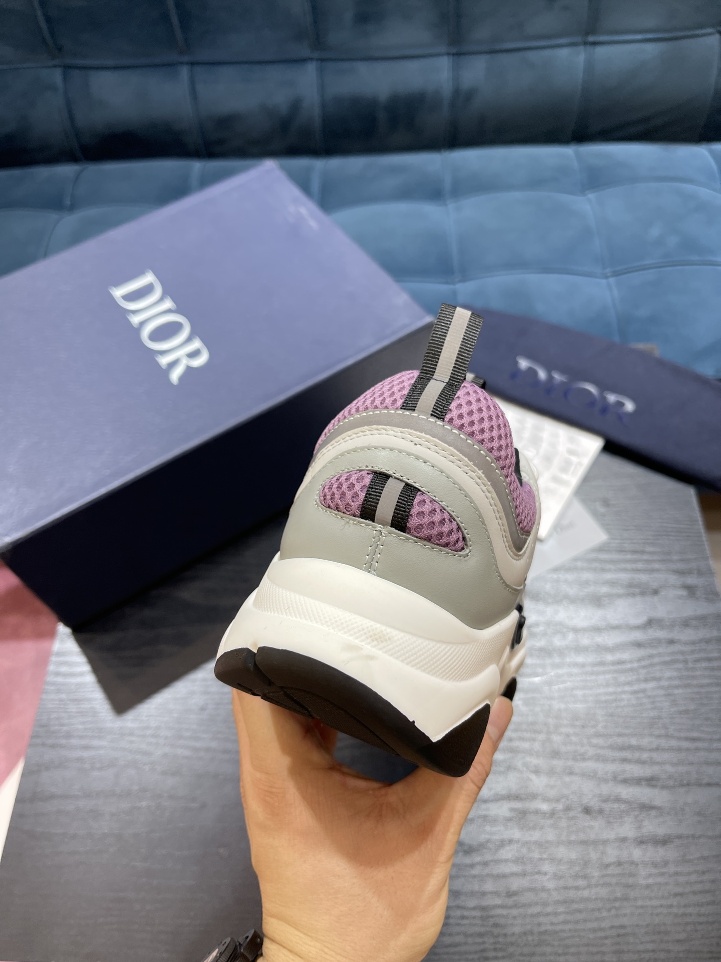 DIOR B22