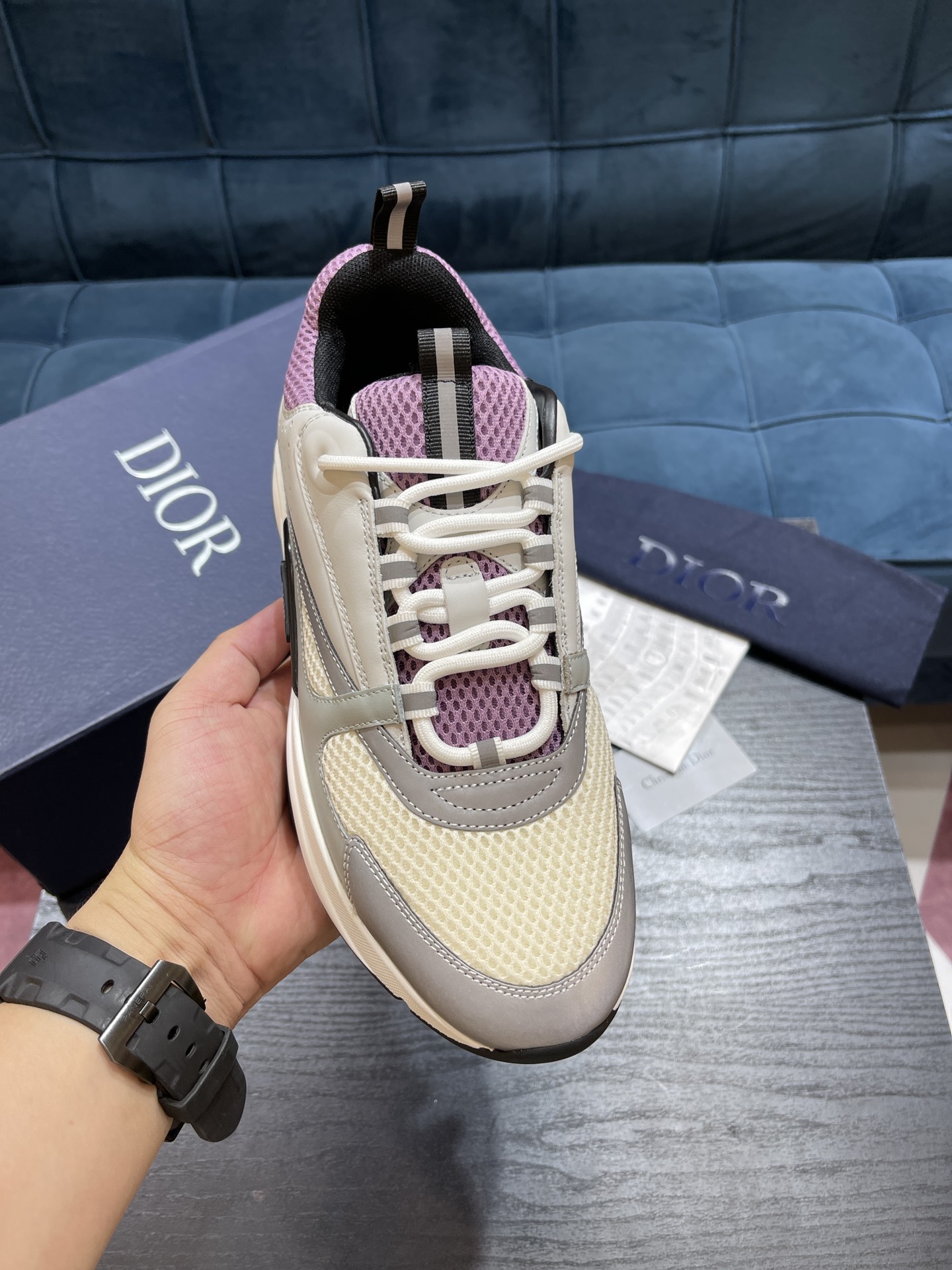 DIOR B22