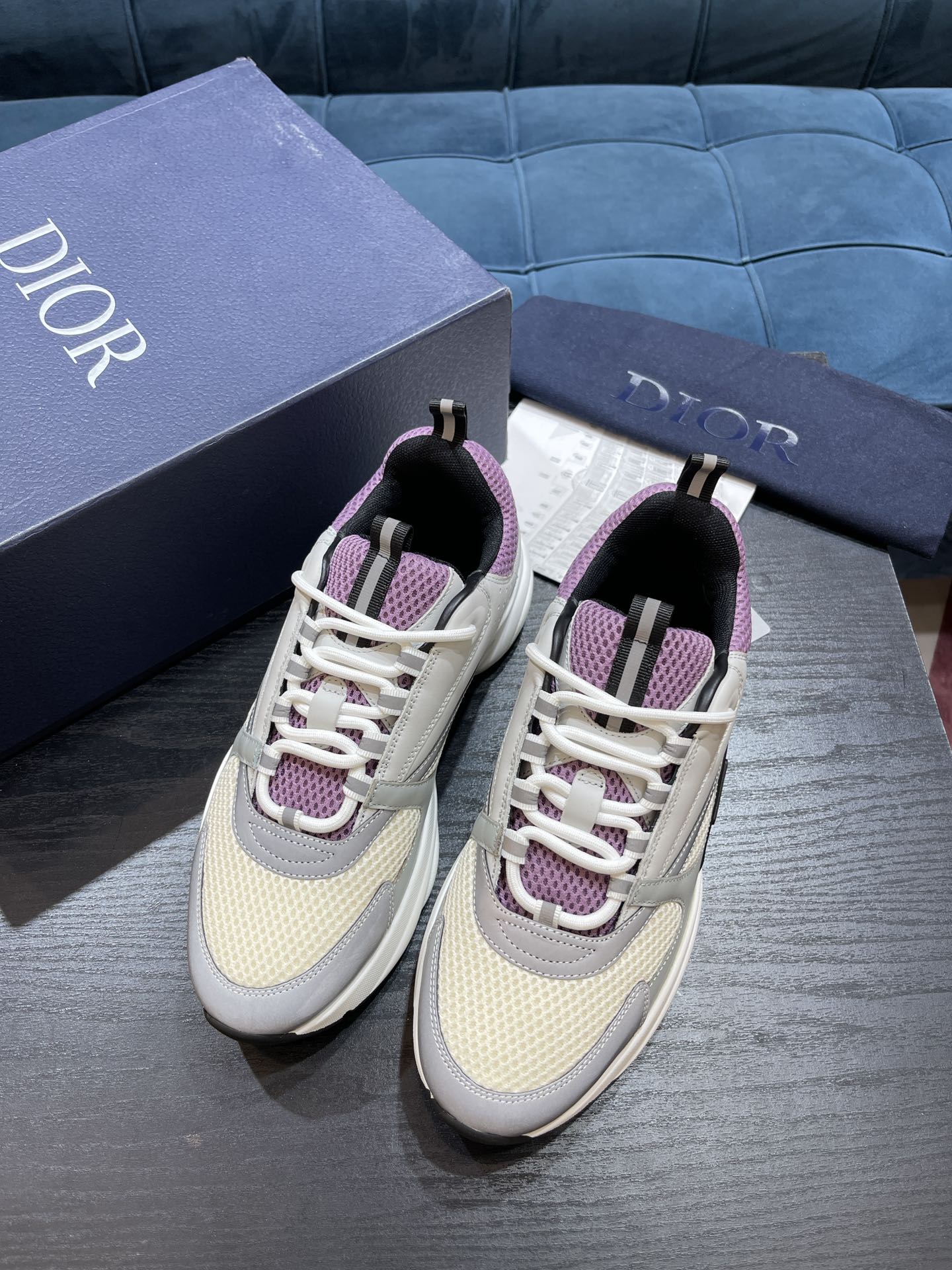 DIOR B22
