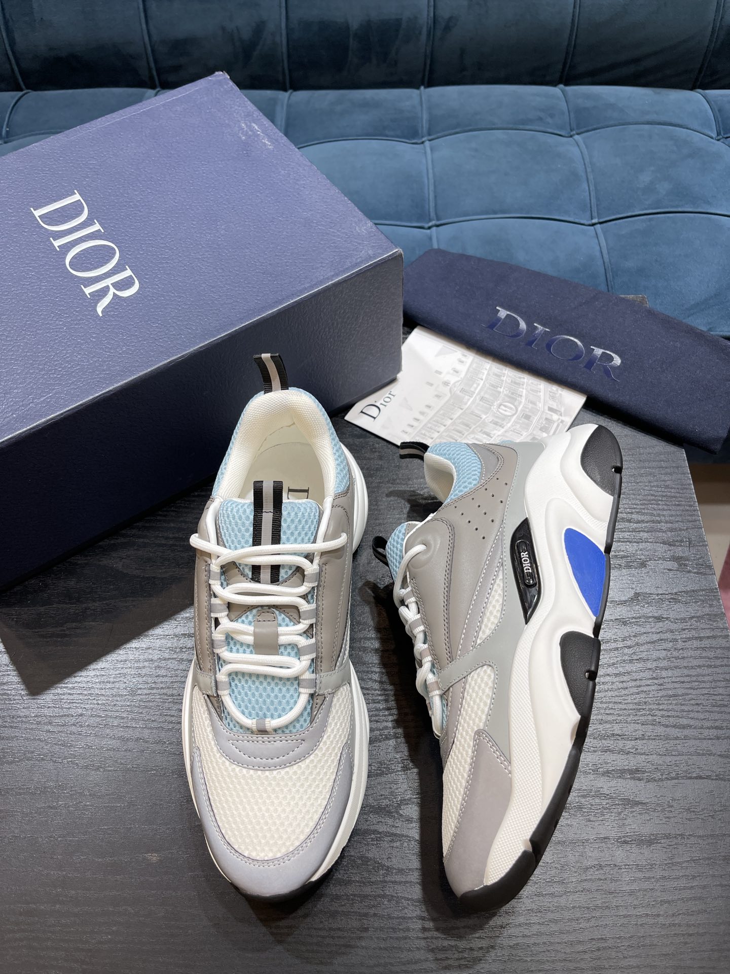 DIOR B22