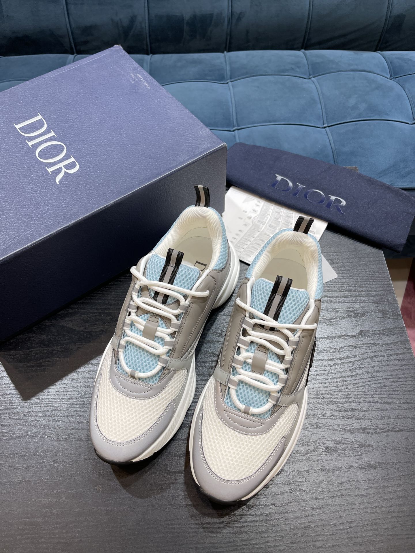 DIOR B22