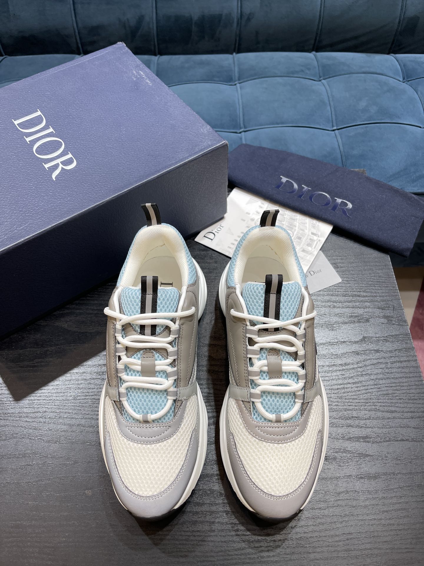 DIOR B22
