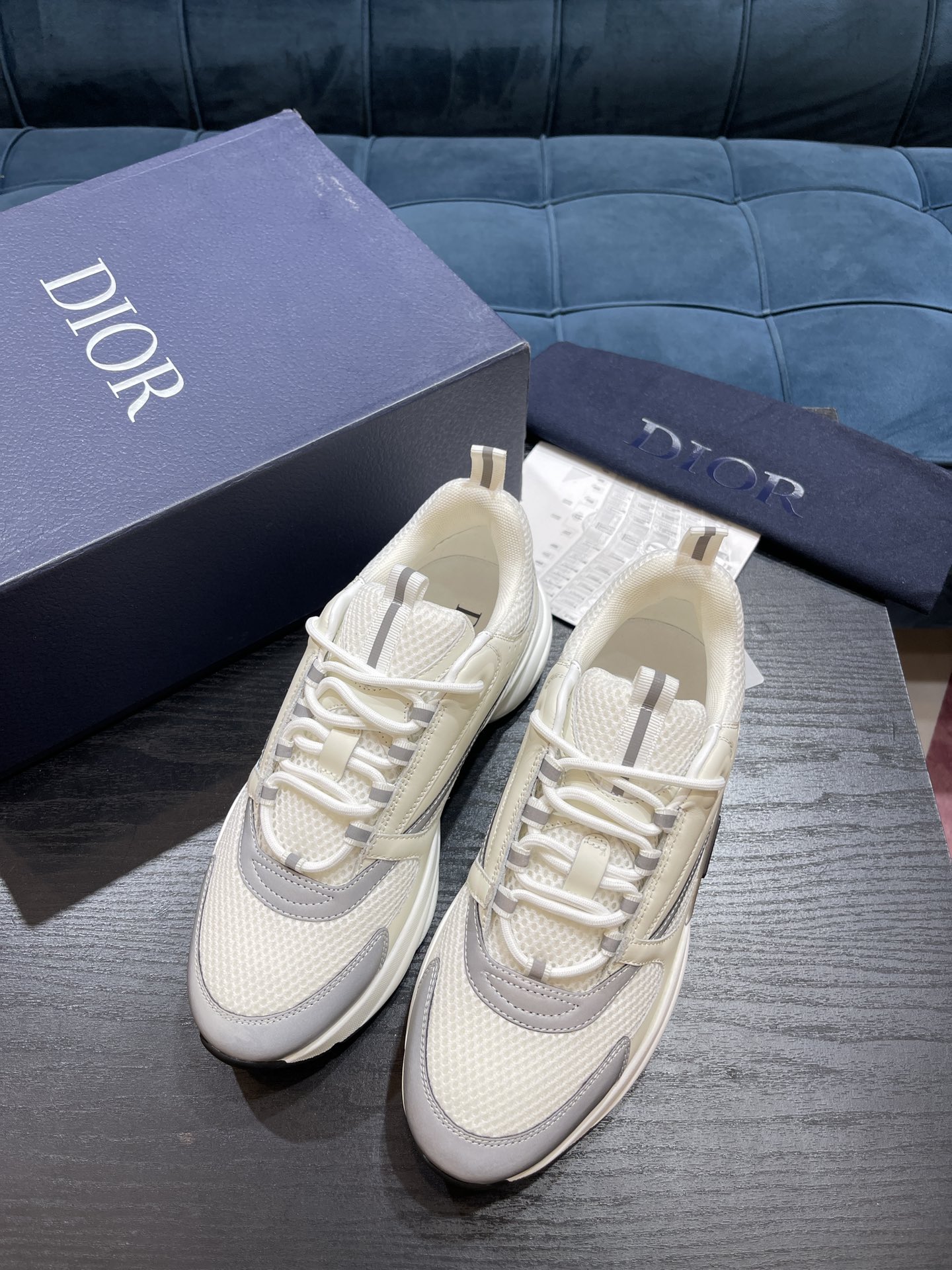 DIOR B22