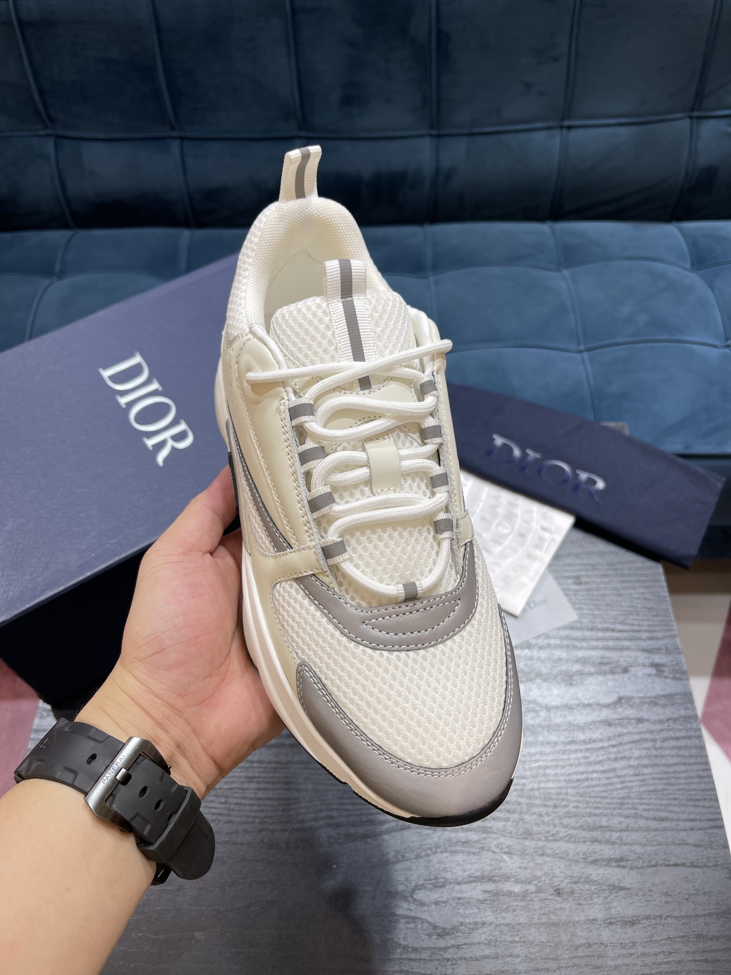 DIOR B22