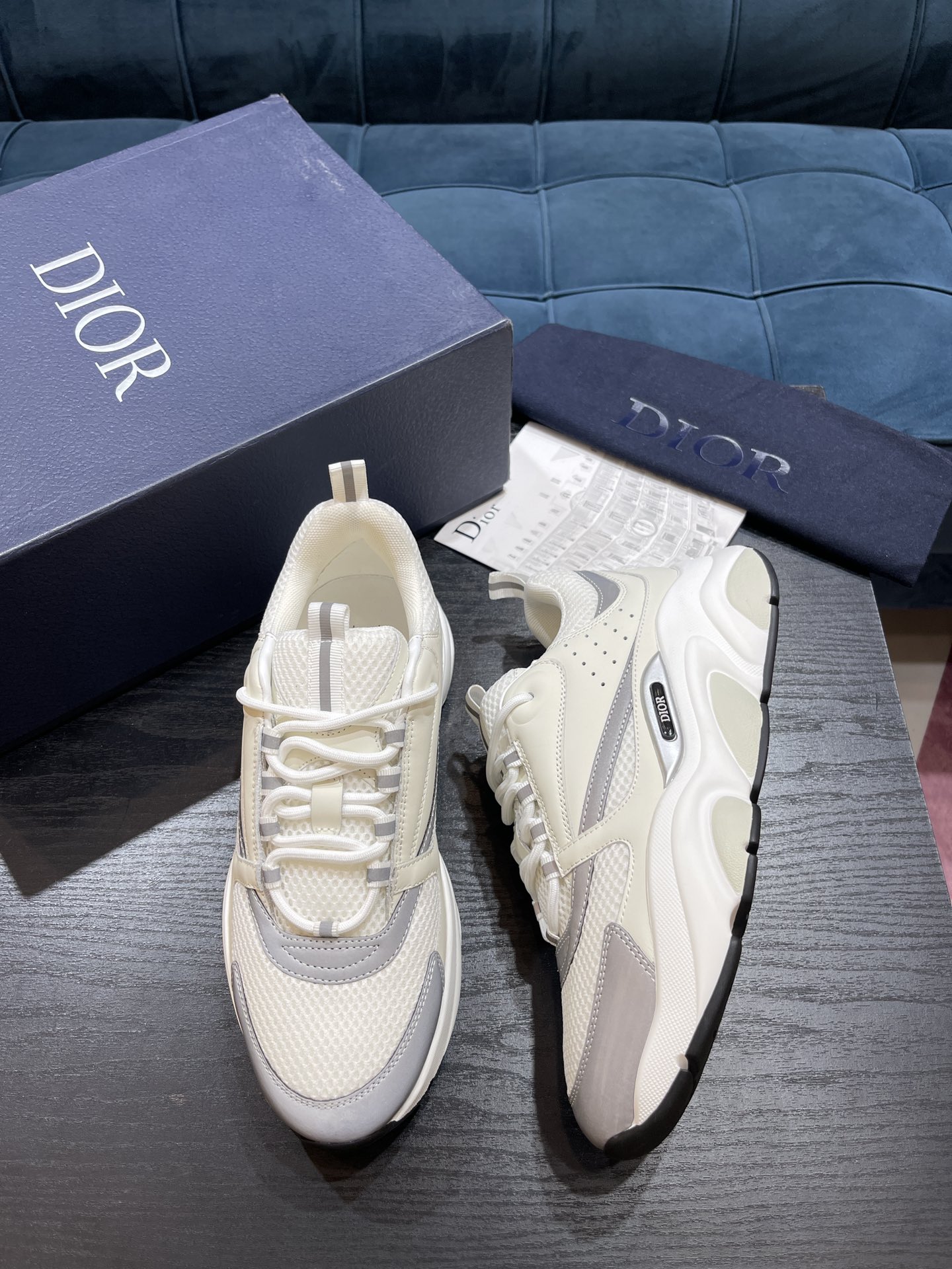 DIOR B22
