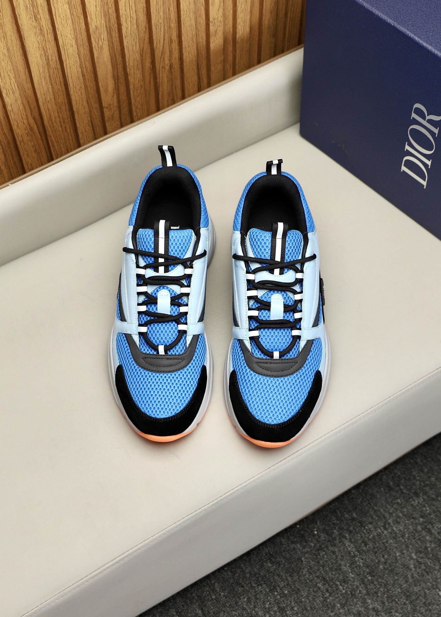 DIOR B22