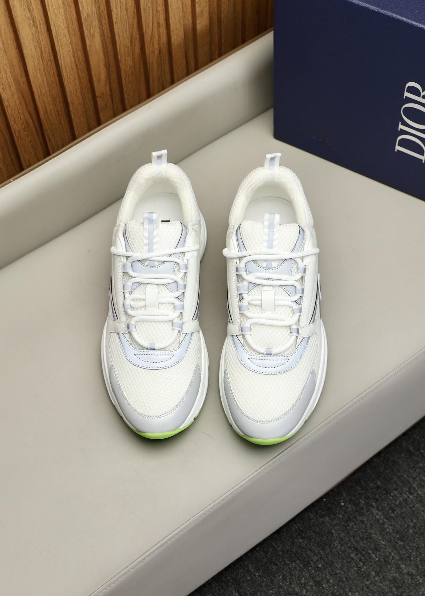DIOR B22
