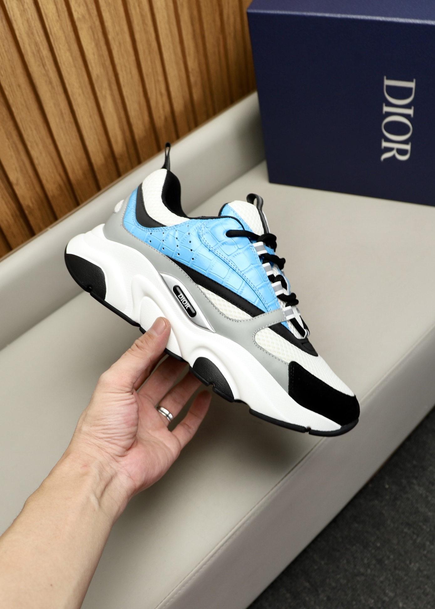 DIOR B22