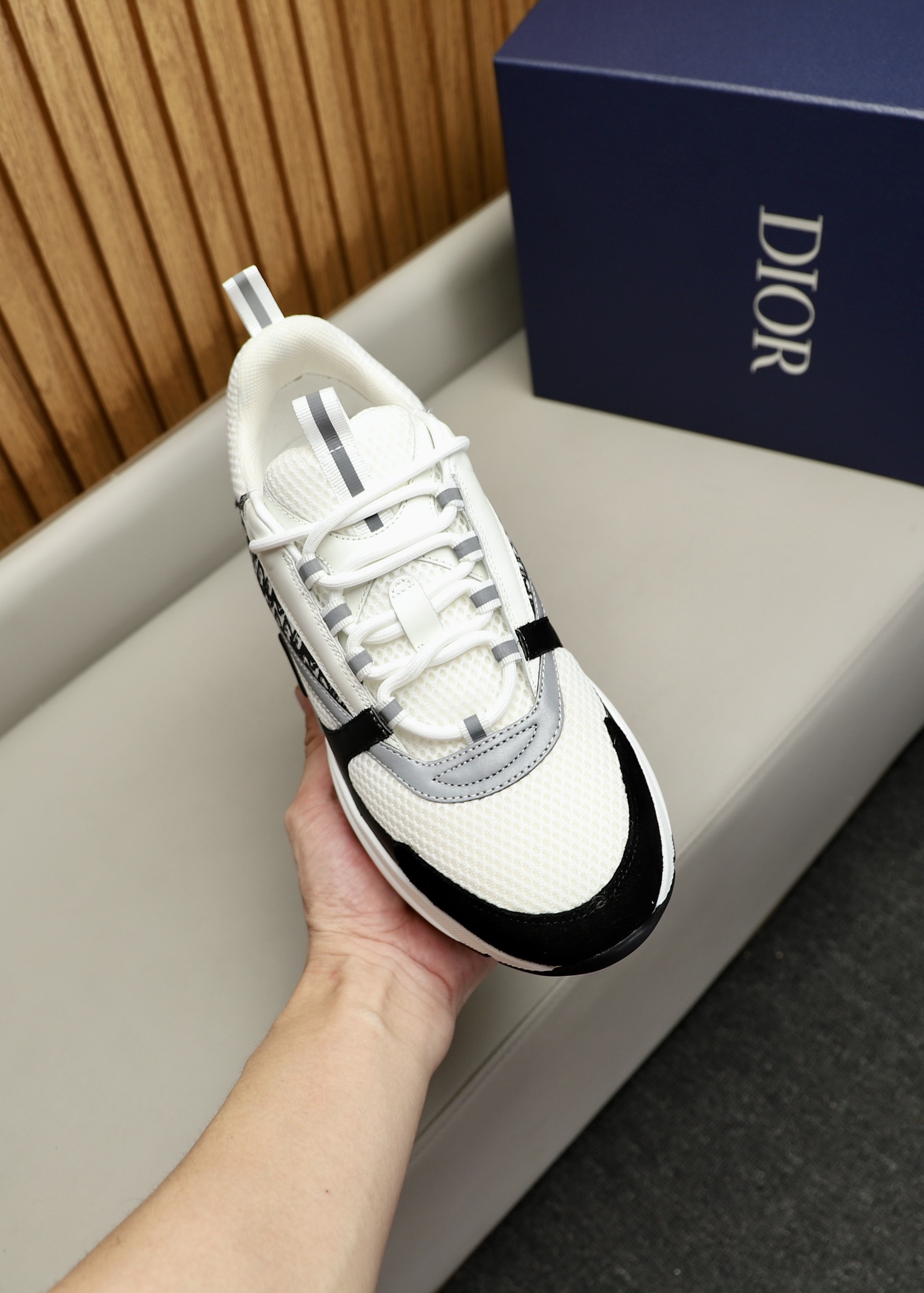 DIOR B22