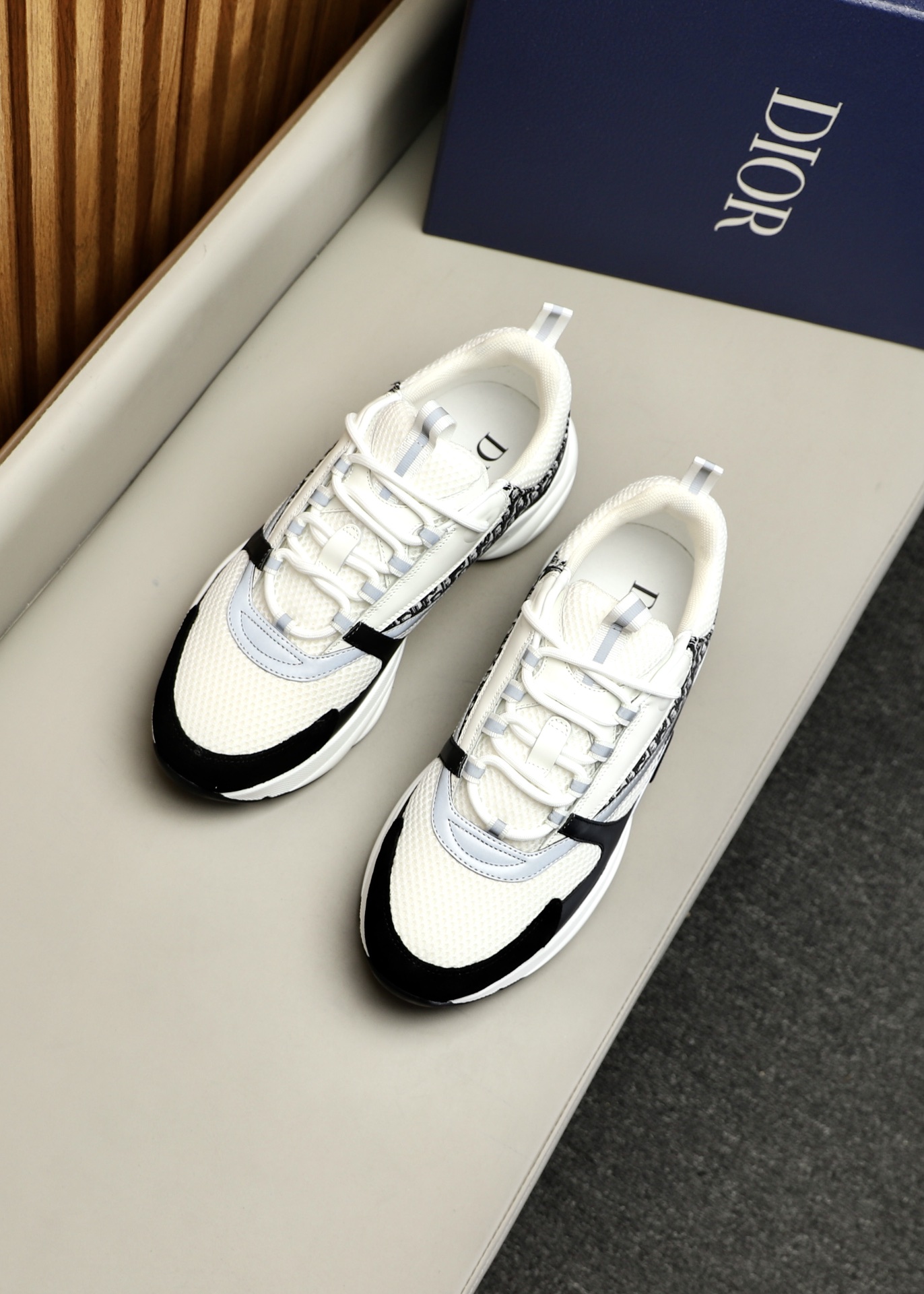 DIOR B22