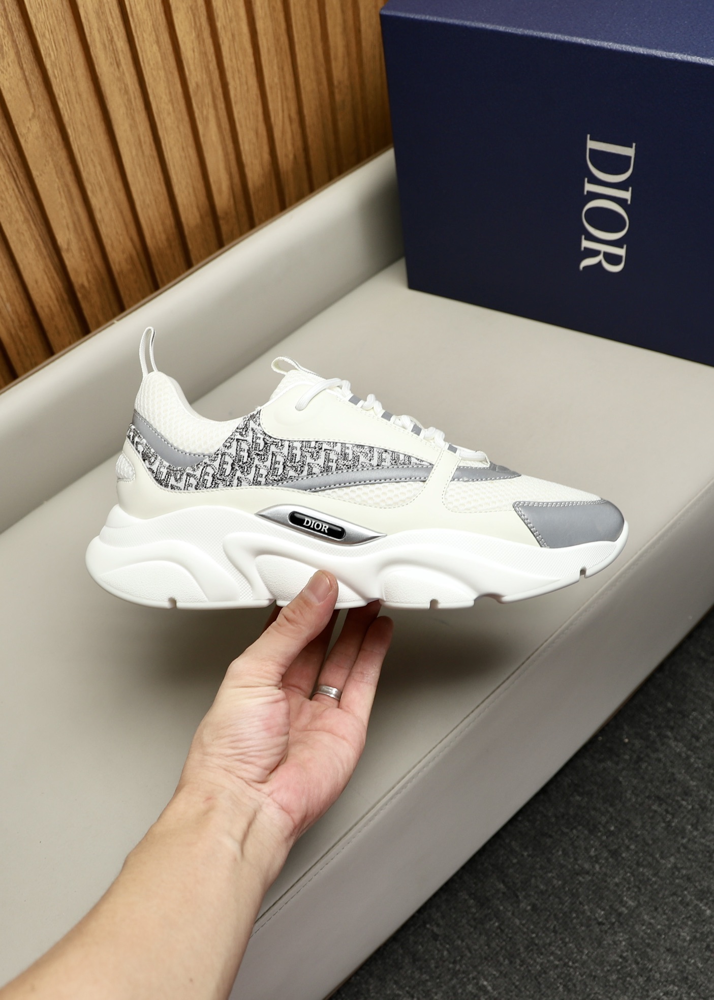 DIOR B22