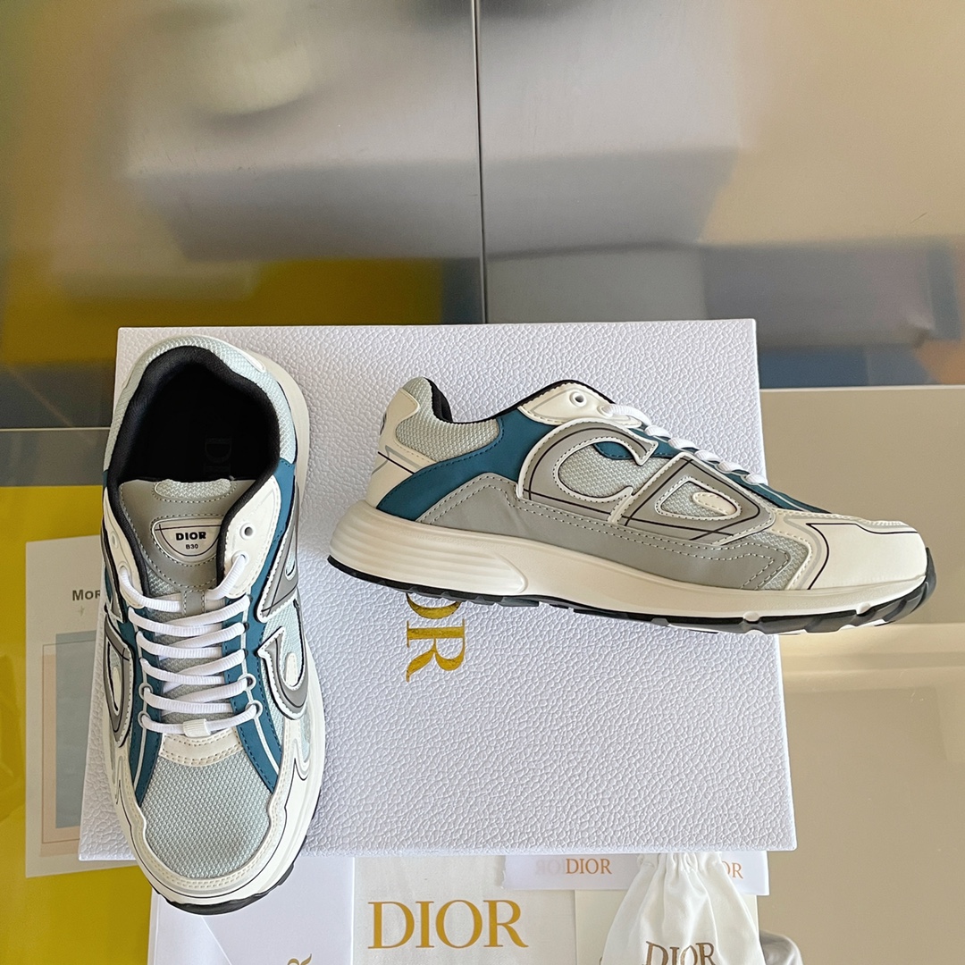 DIOR B30