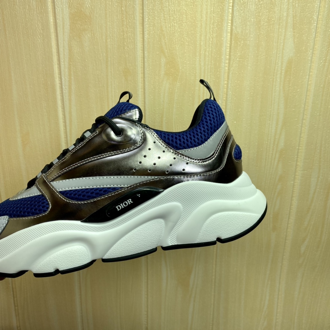 DIOR B22