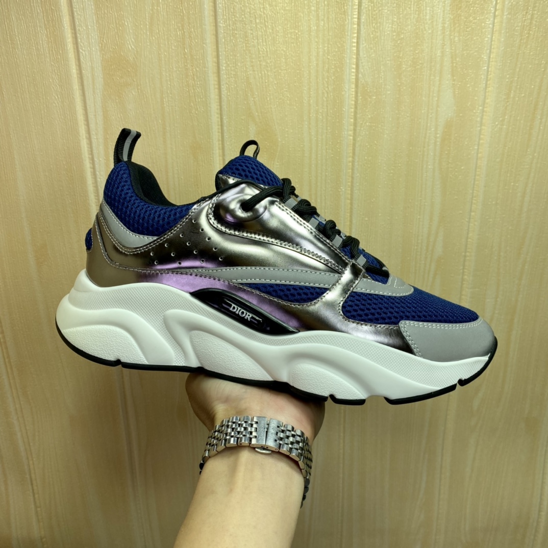 DIOR B22