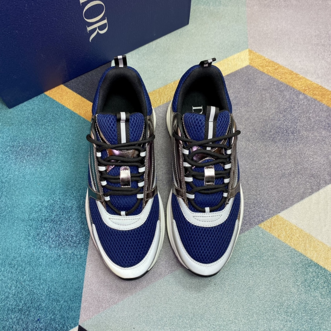 DIOR B22