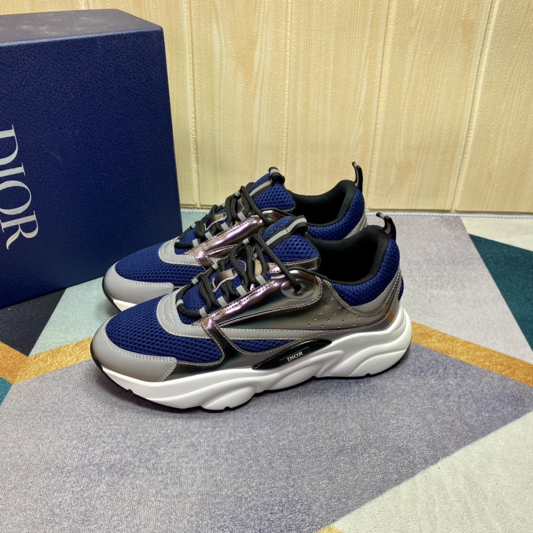 DIOR B22