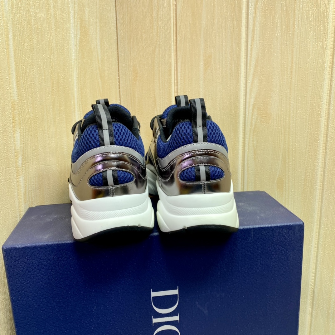 DIOR B22