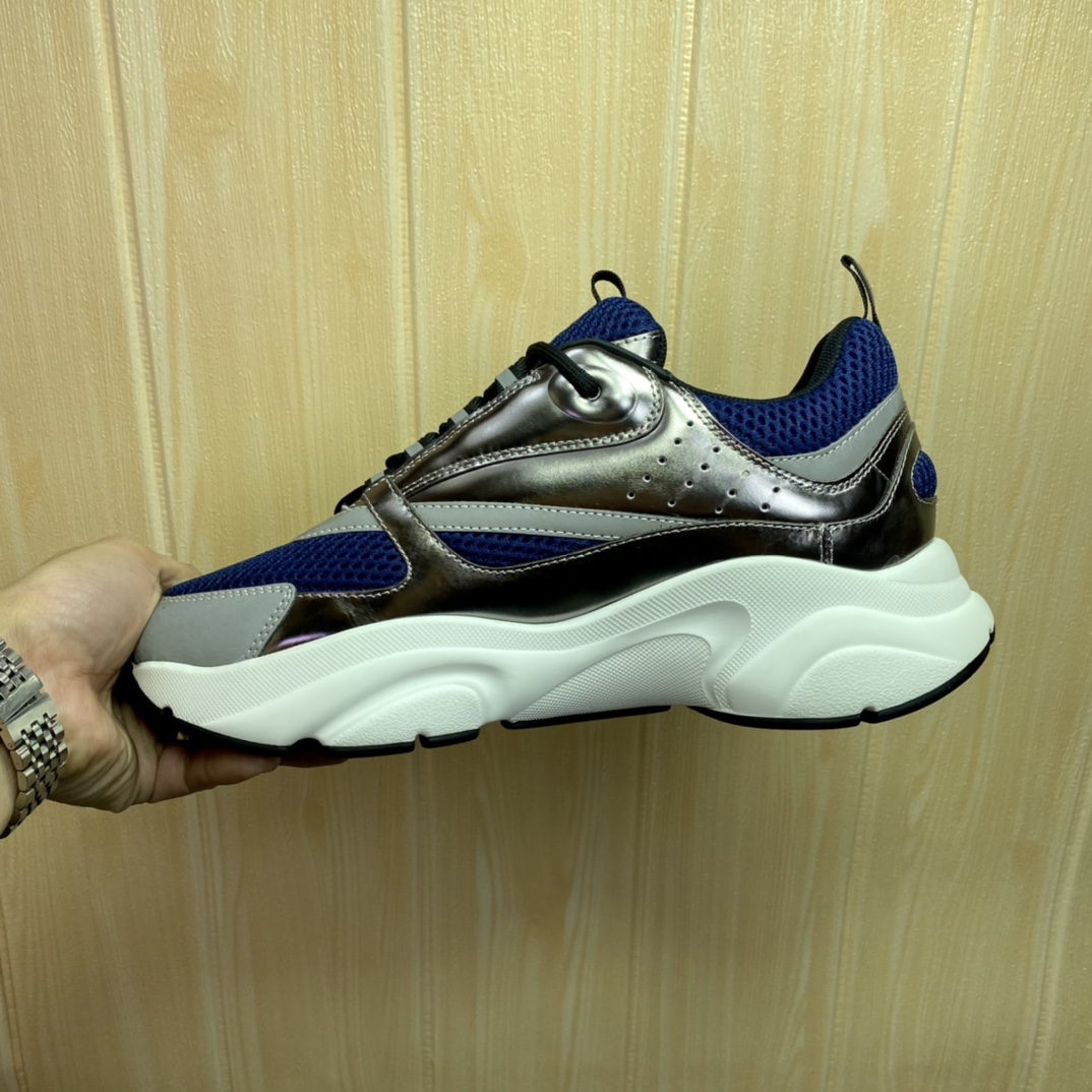 DIOR B22