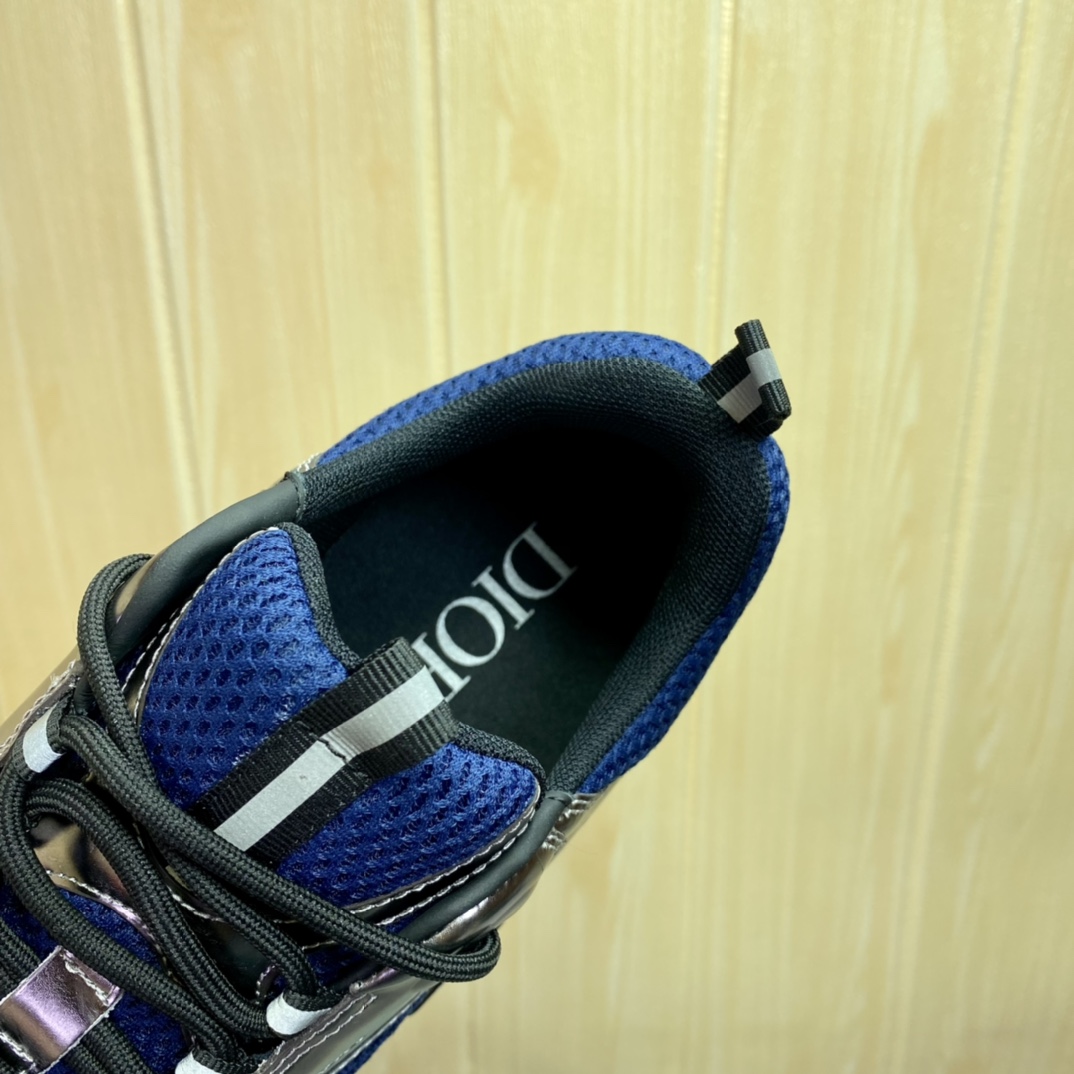 DIOR B22