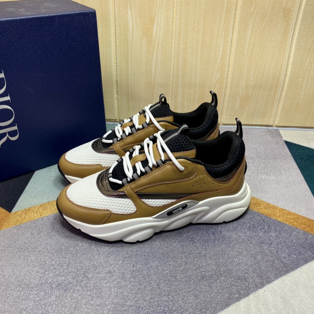 DIOR B22