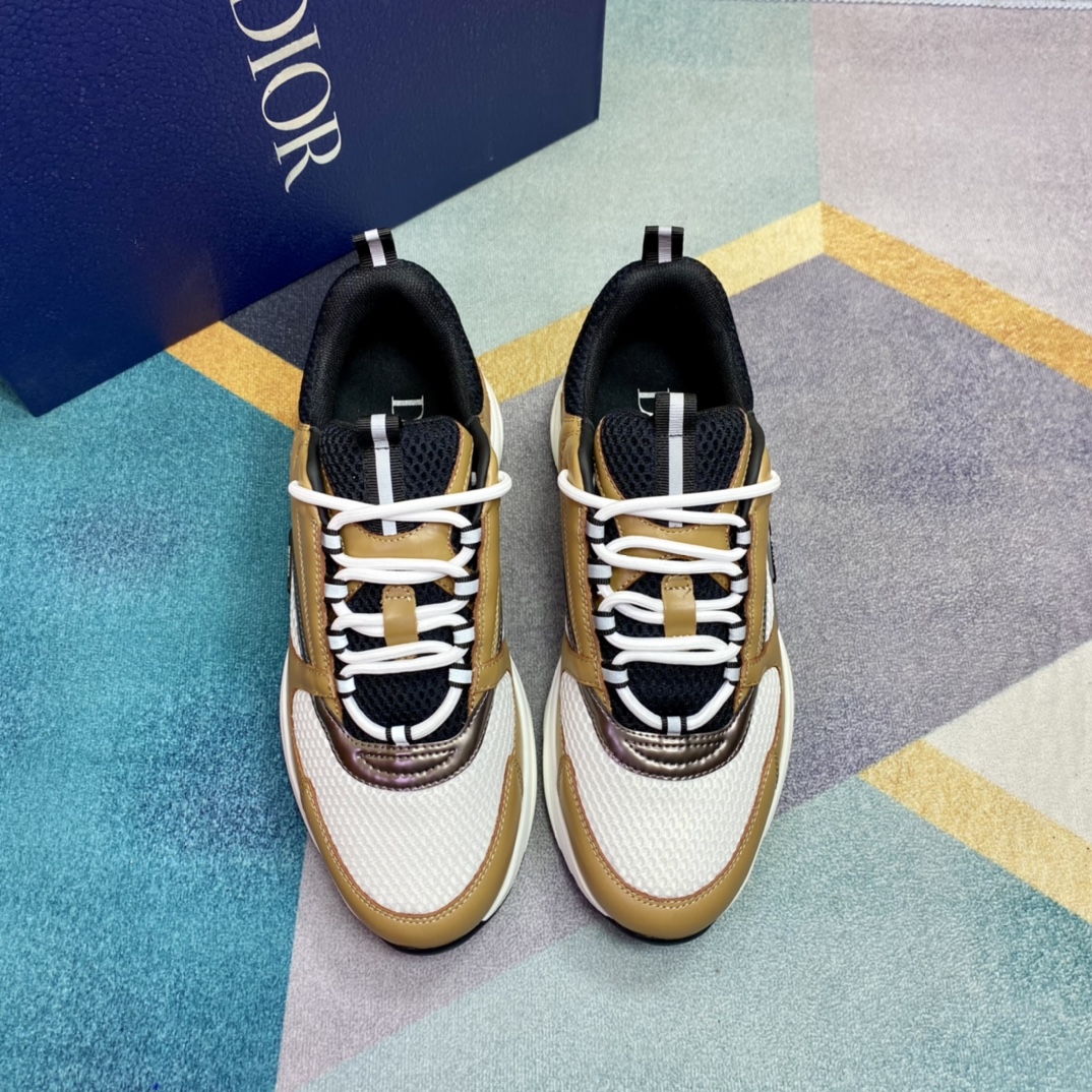 DIOR B22