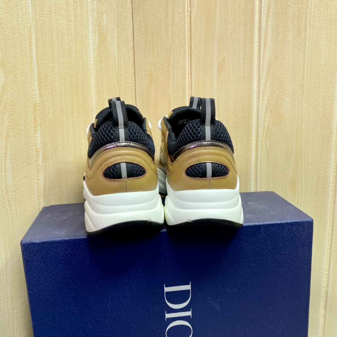 DIOR B22