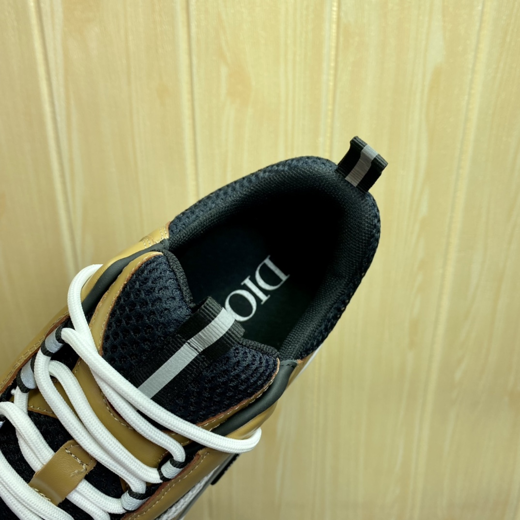 DIOR B22