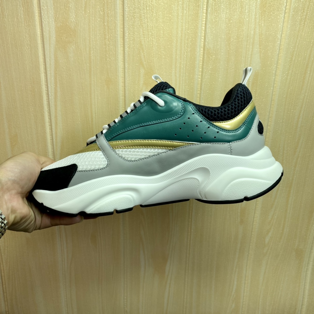 DIOR B22