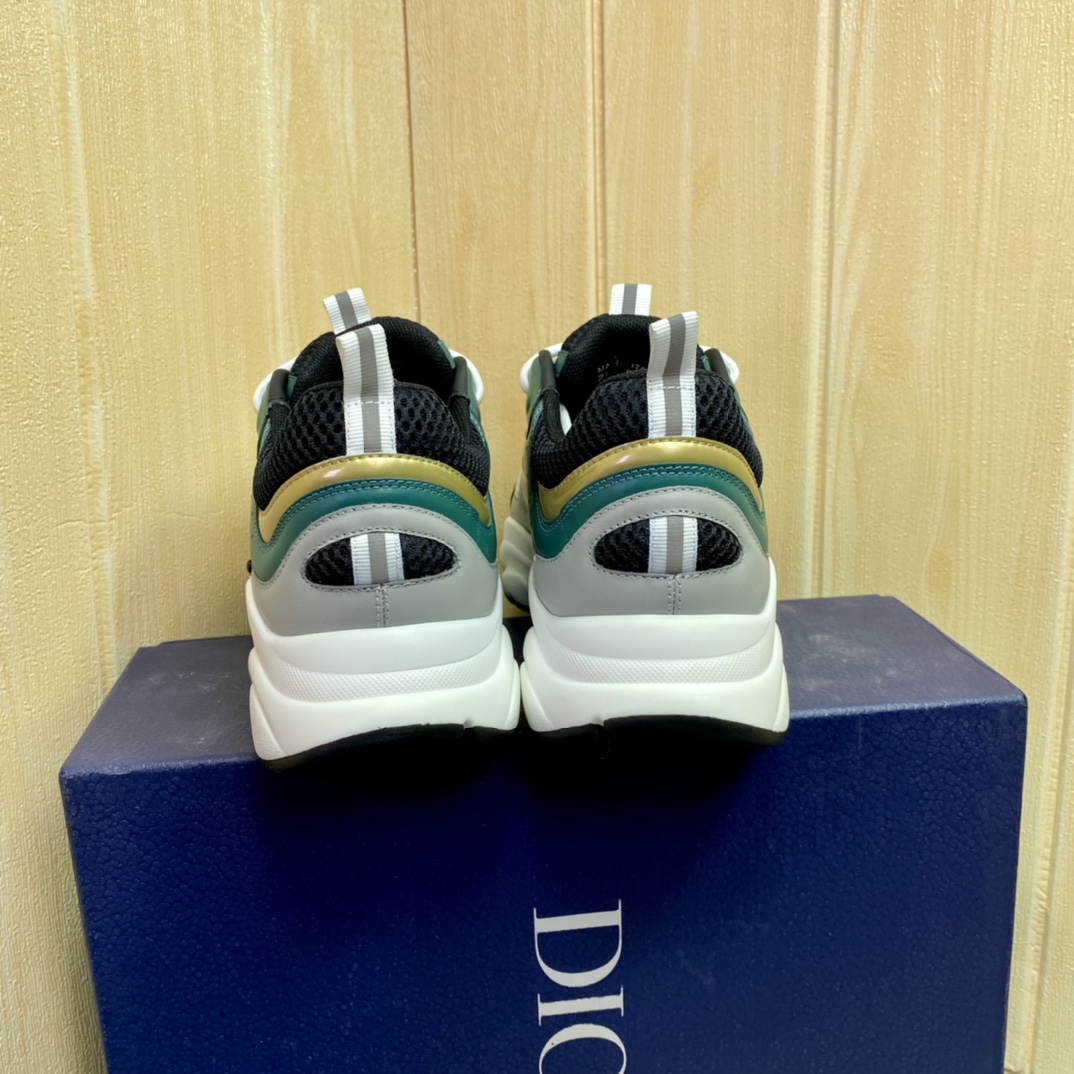 DIOR B22