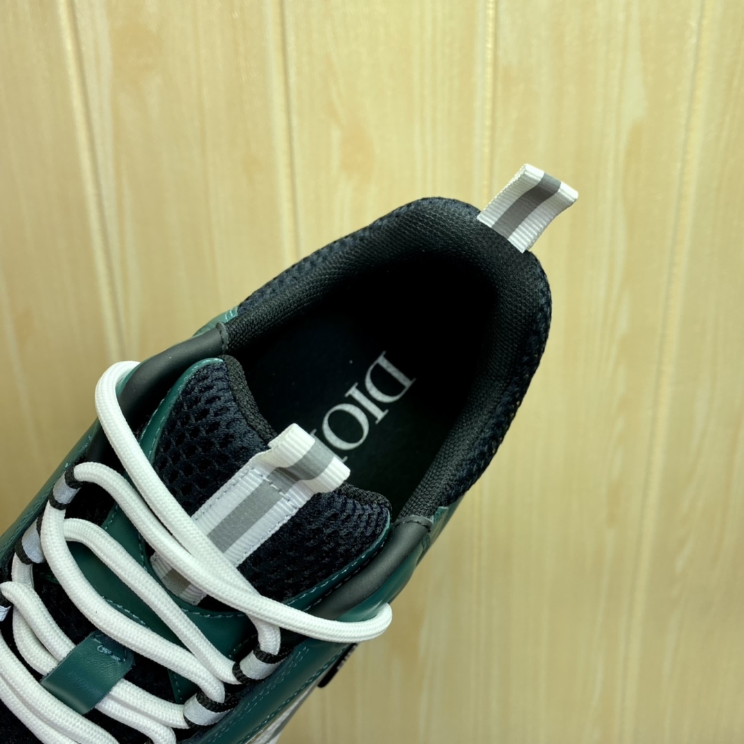 DIOR B22