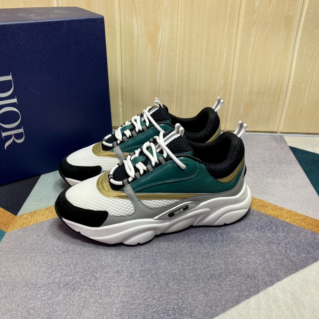 DIOR B22
