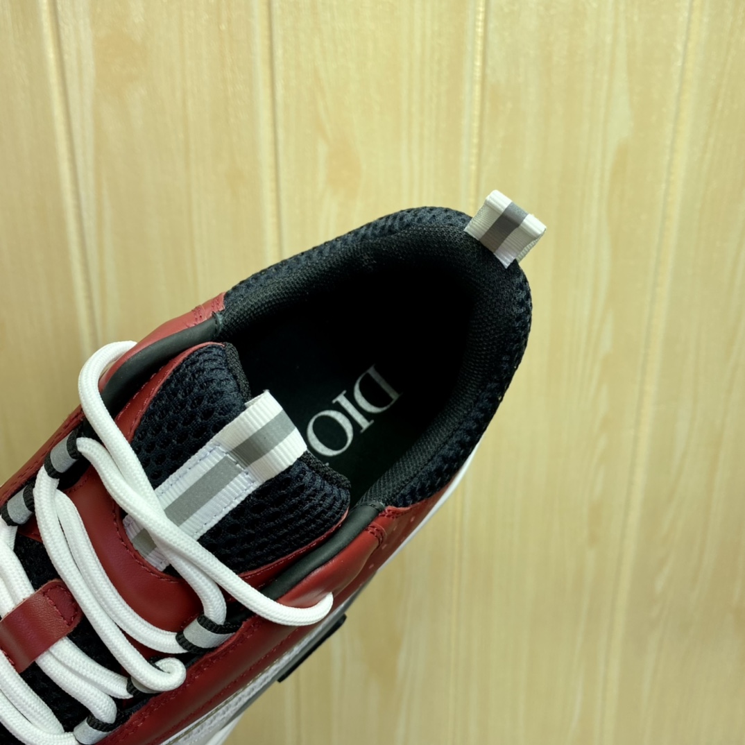 DIOR B22 