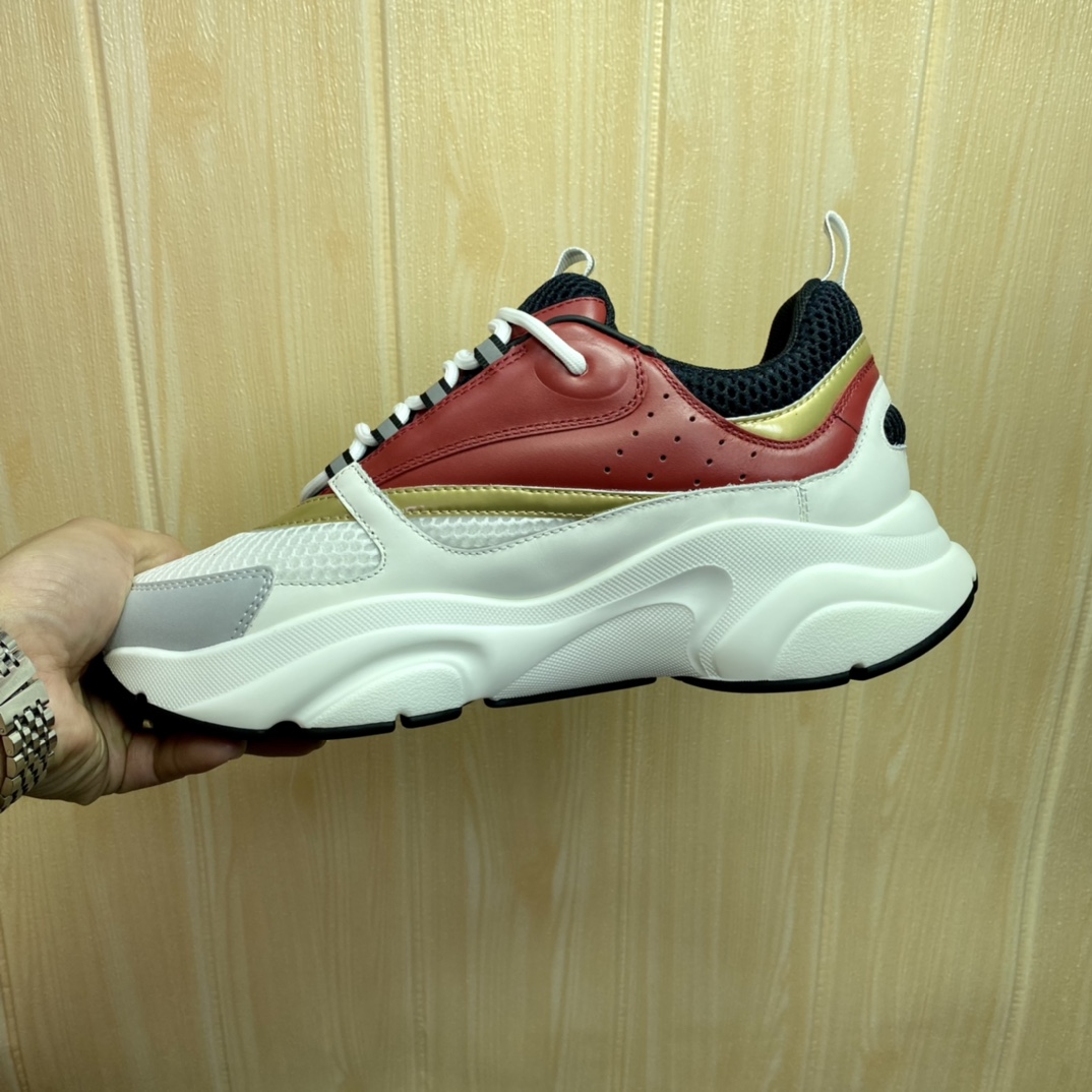 DIOR B22 