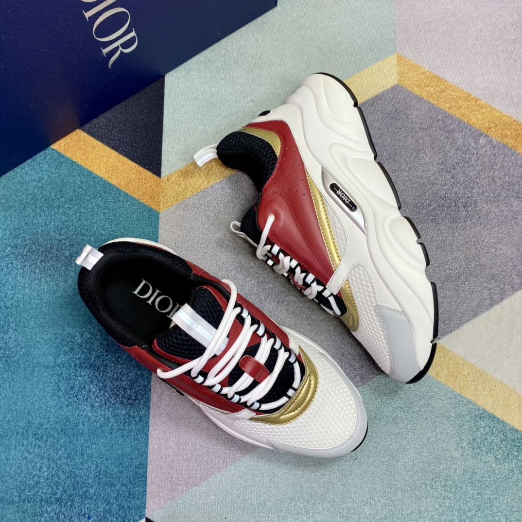 DIOR B22 