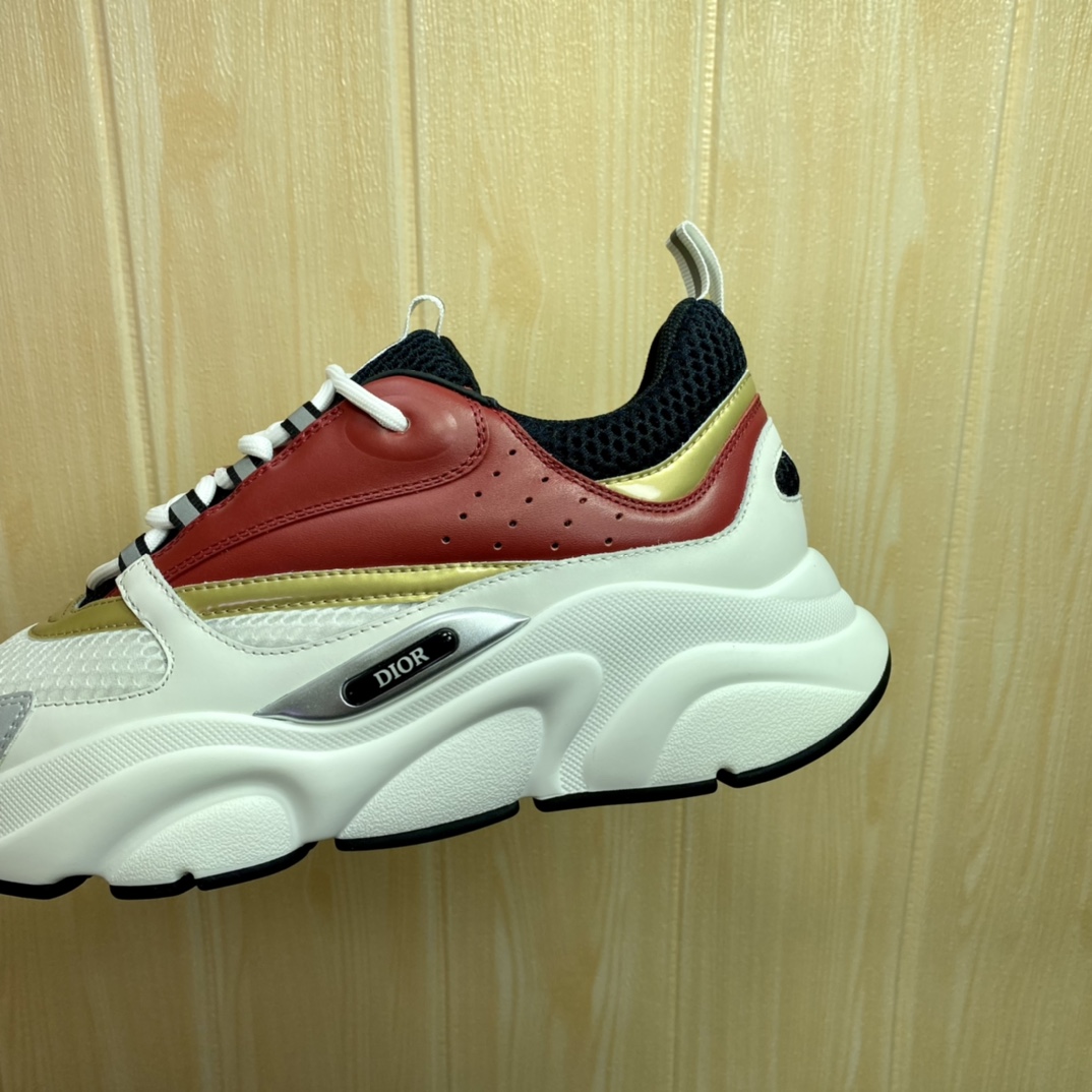 DIOR B22 