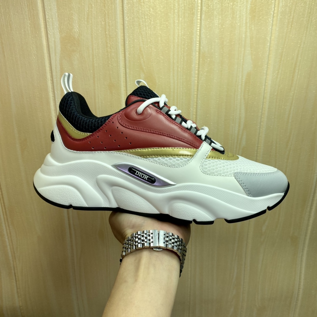 DIOR B22 
