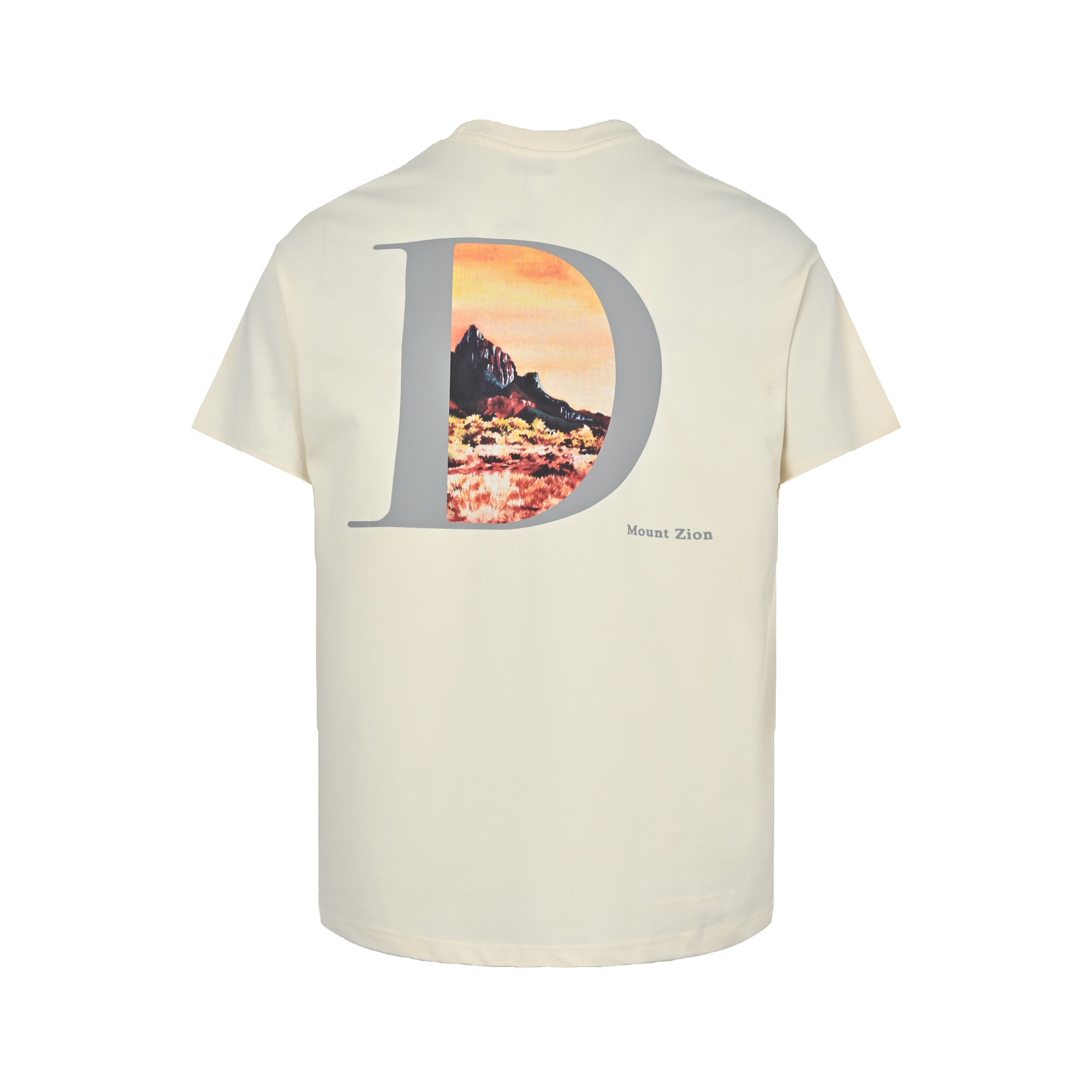 DIOR T-SHIRT 