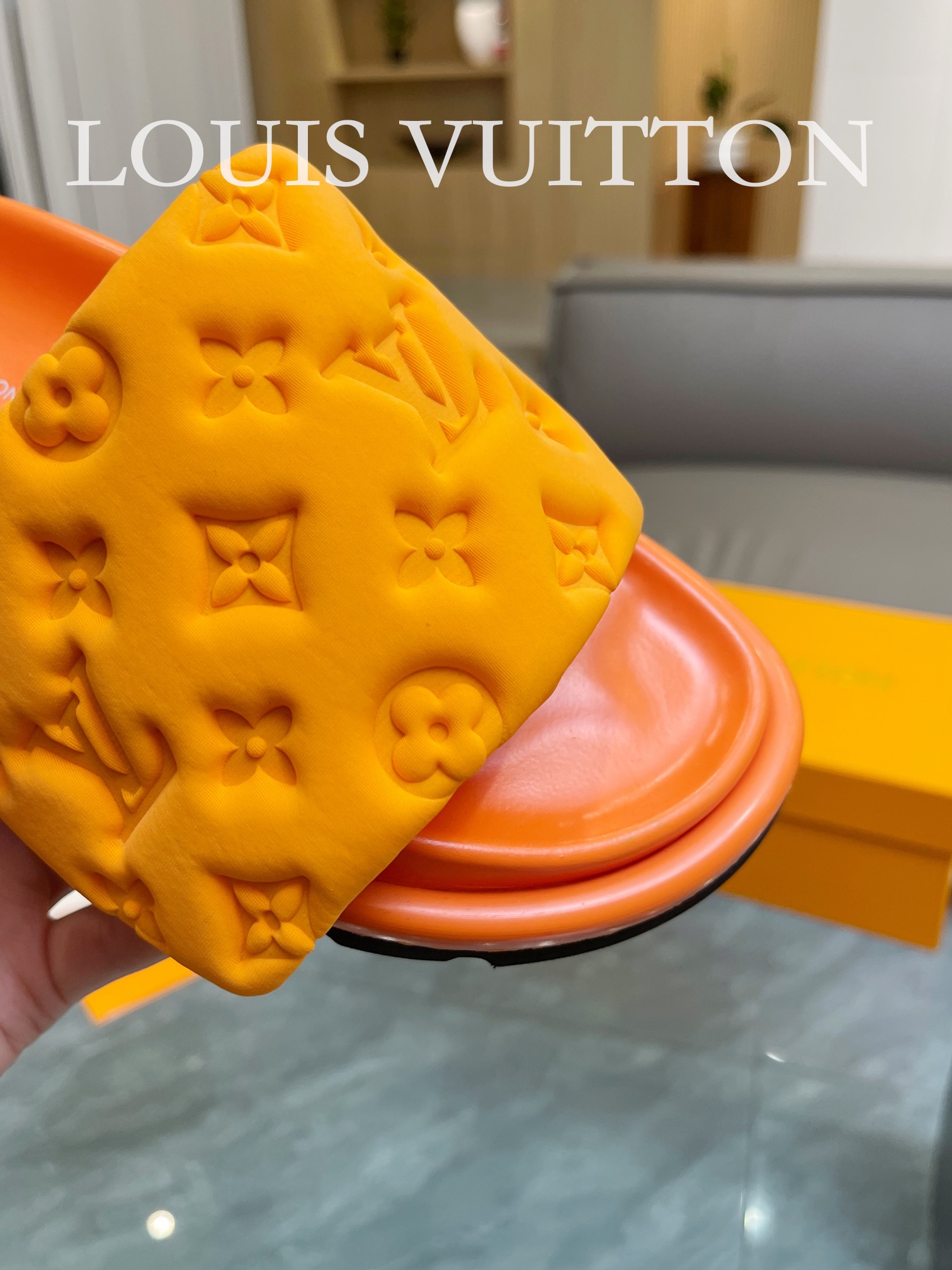 LOUIS VUITTON SLIPPERS