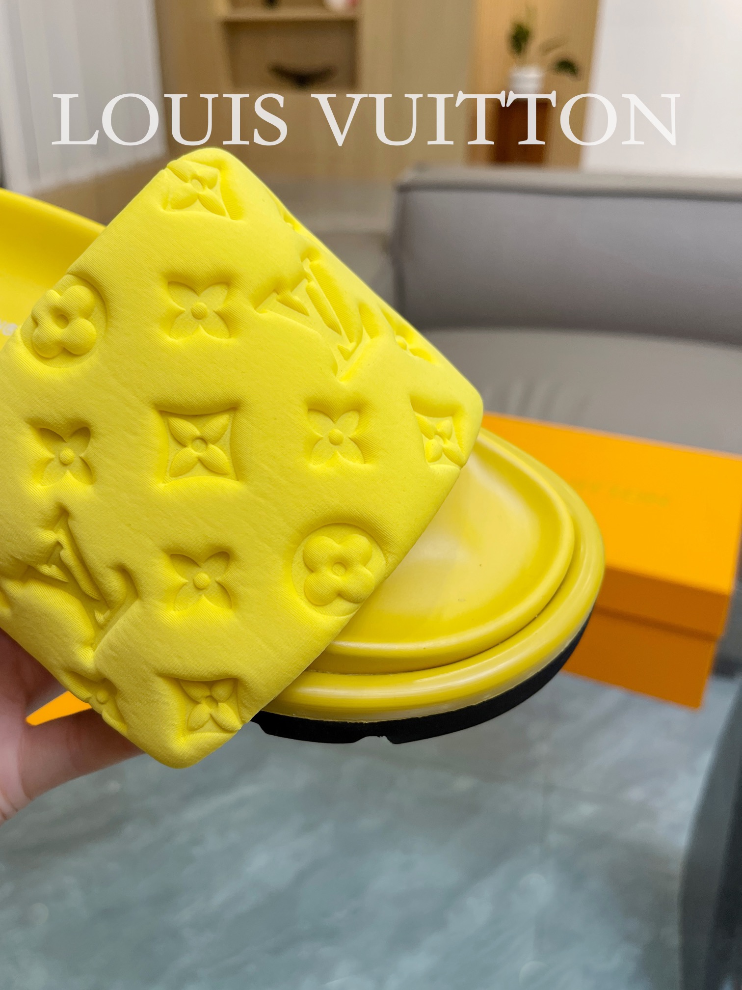 LOUIS VUITTON SLIPPERS