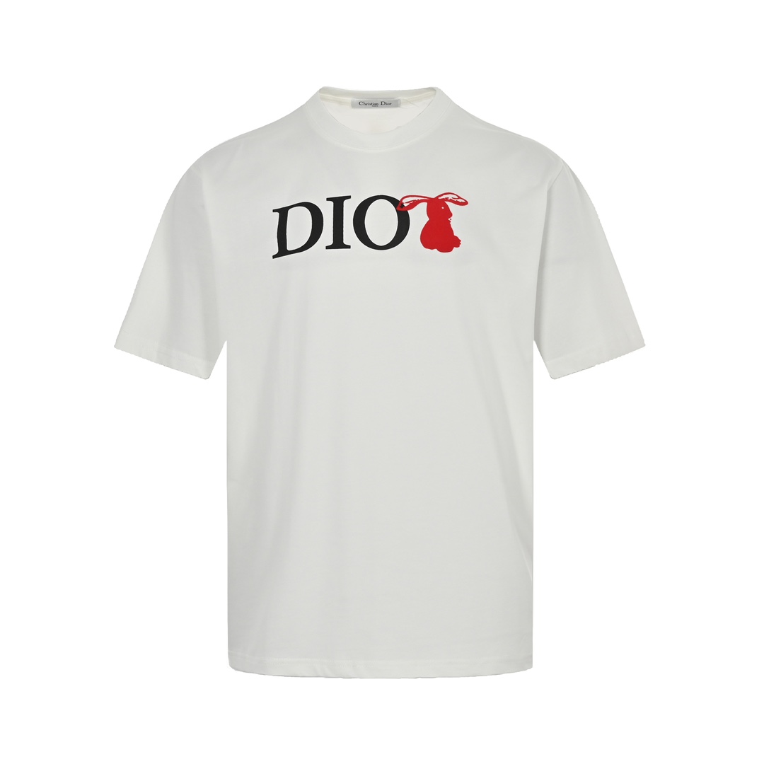 DIOR T-SHIRT
