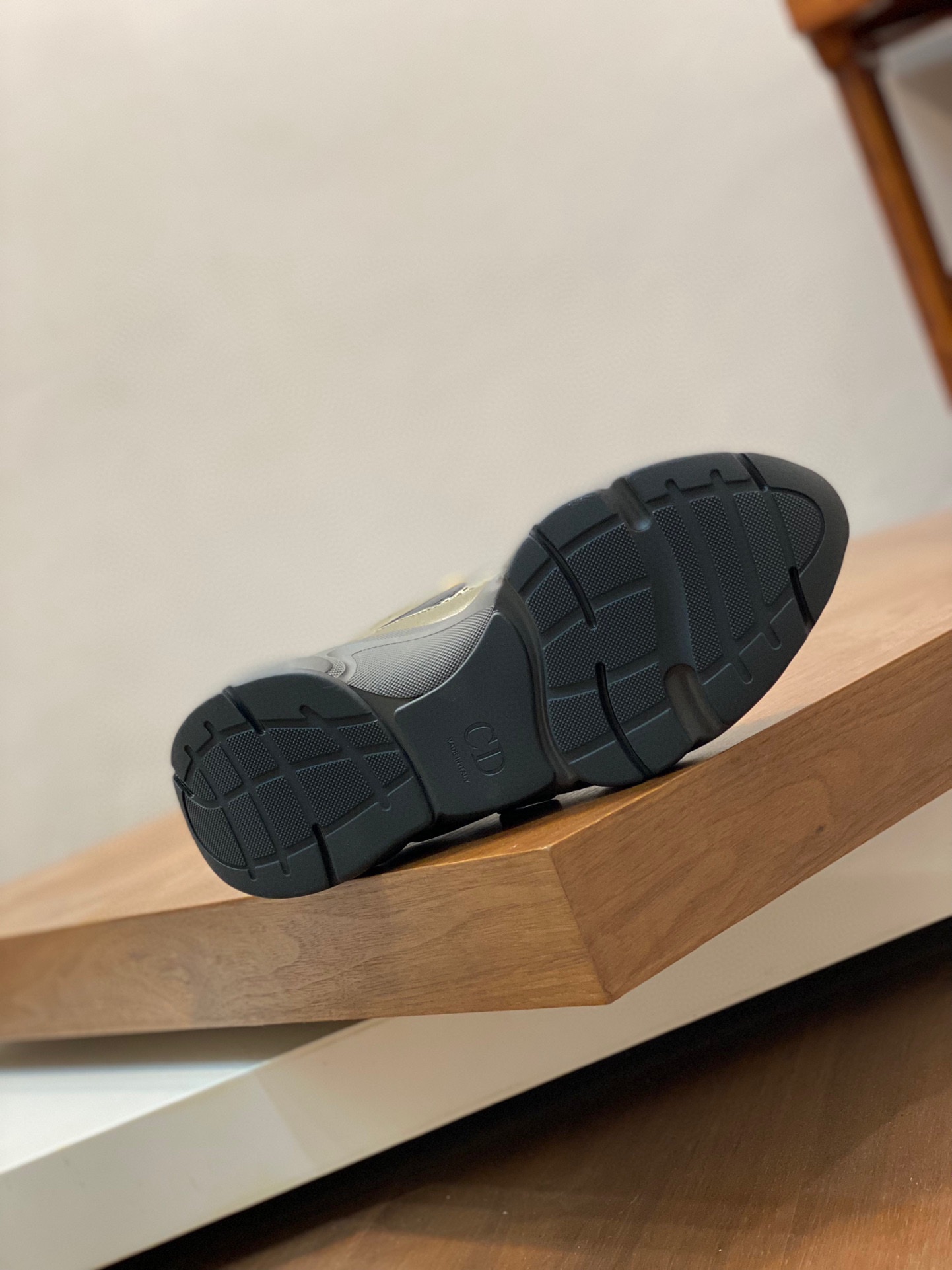DIOR B22
