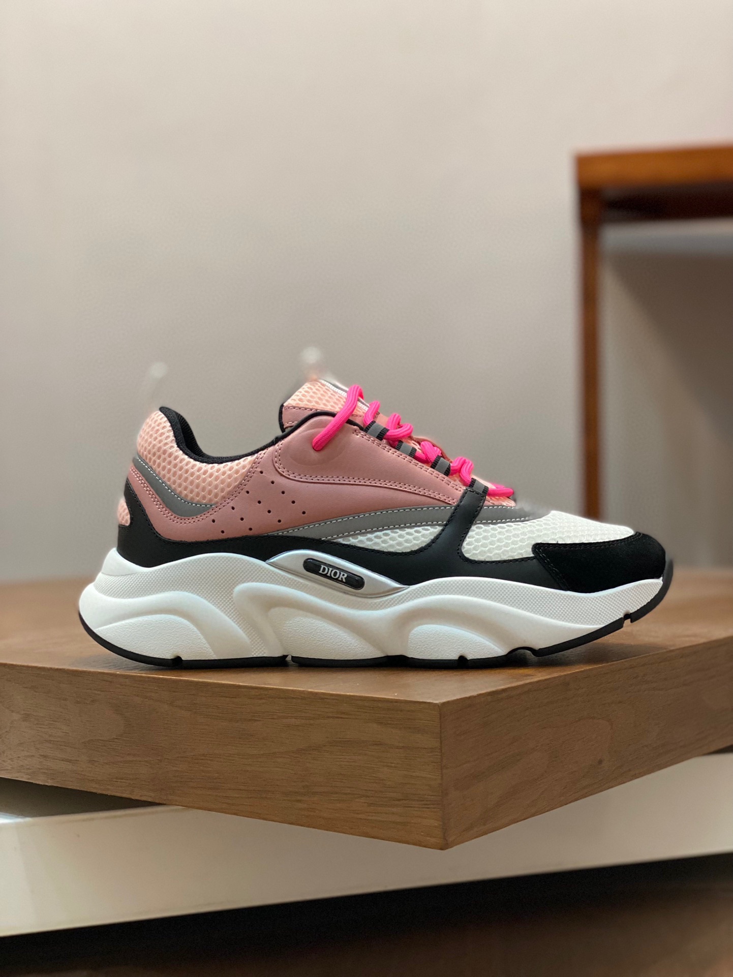 DIOR B22