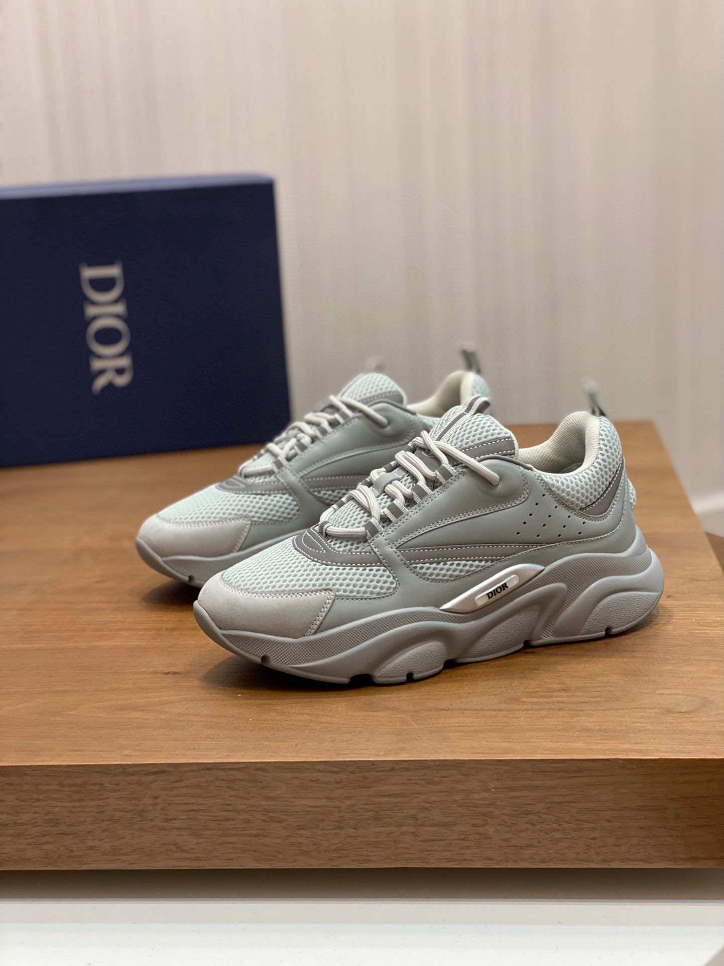 DIOR B22