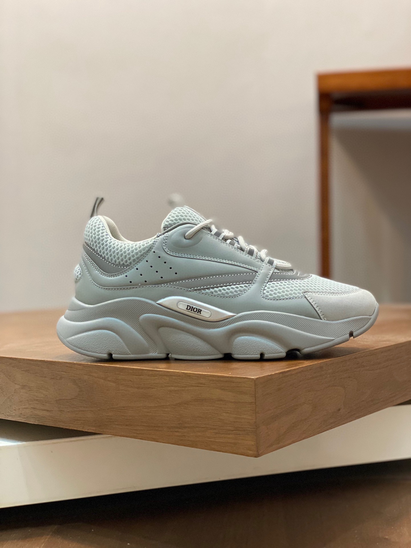 DIOR B22