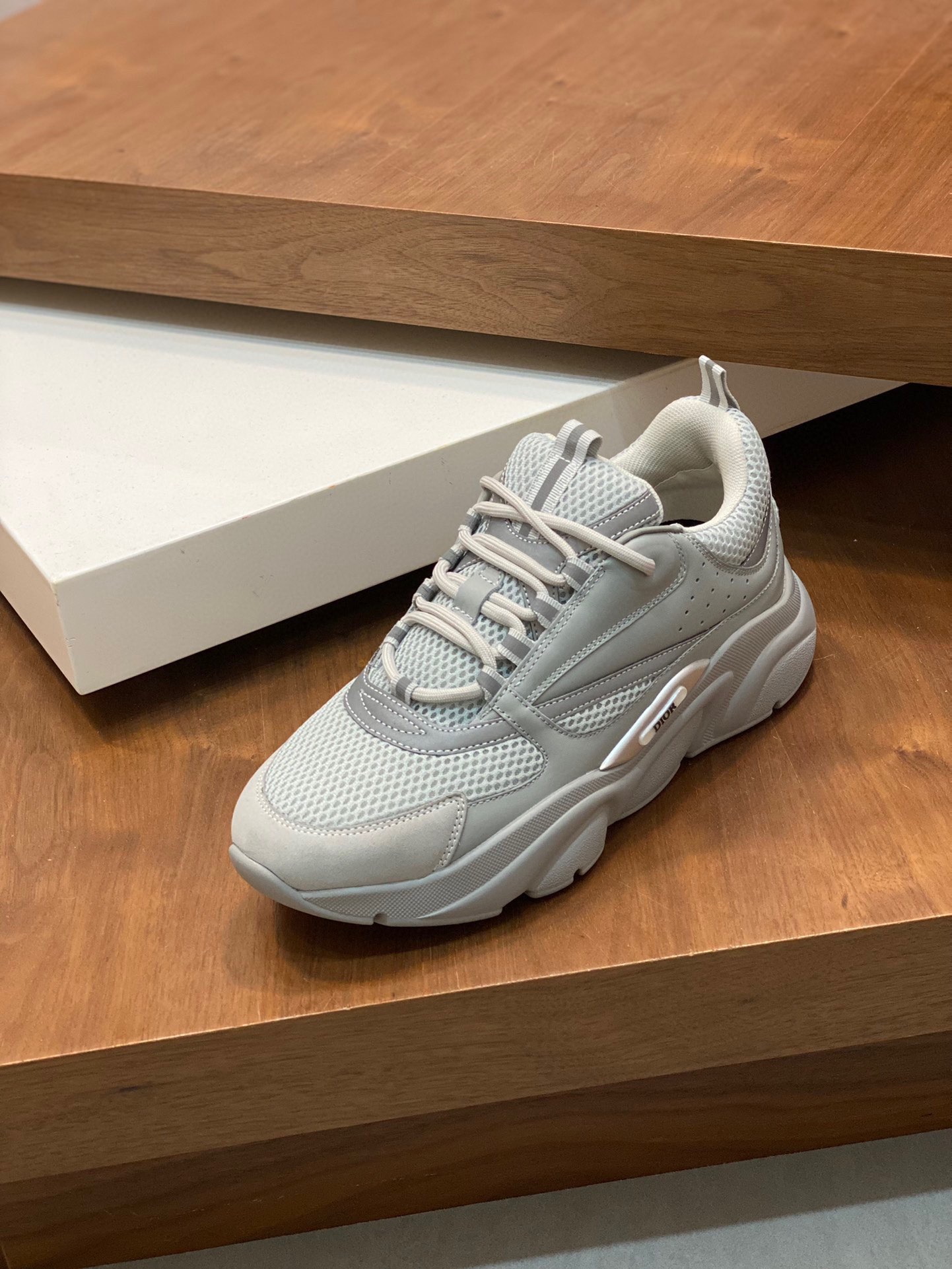 DIOR B22