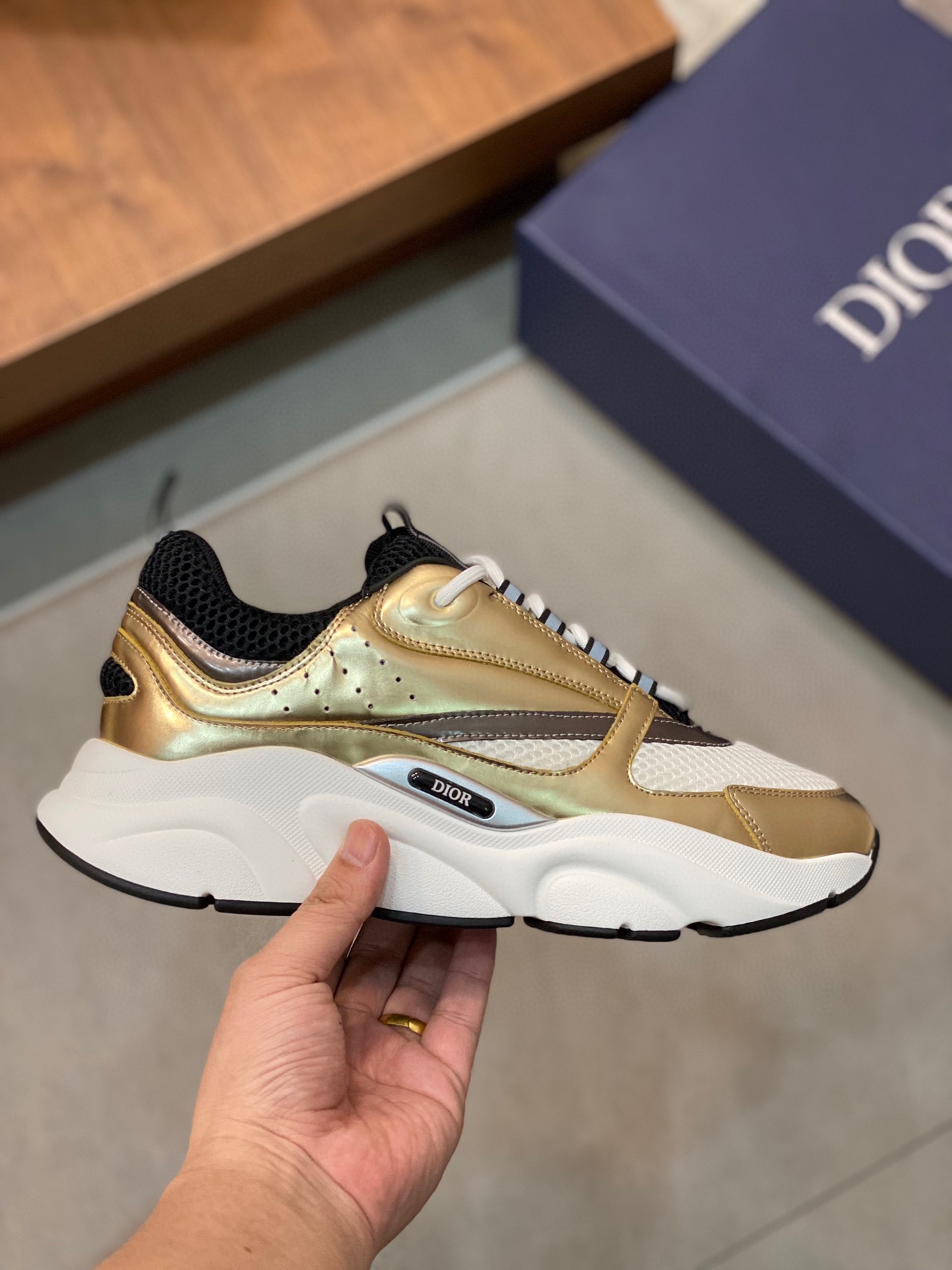 DIOR B22