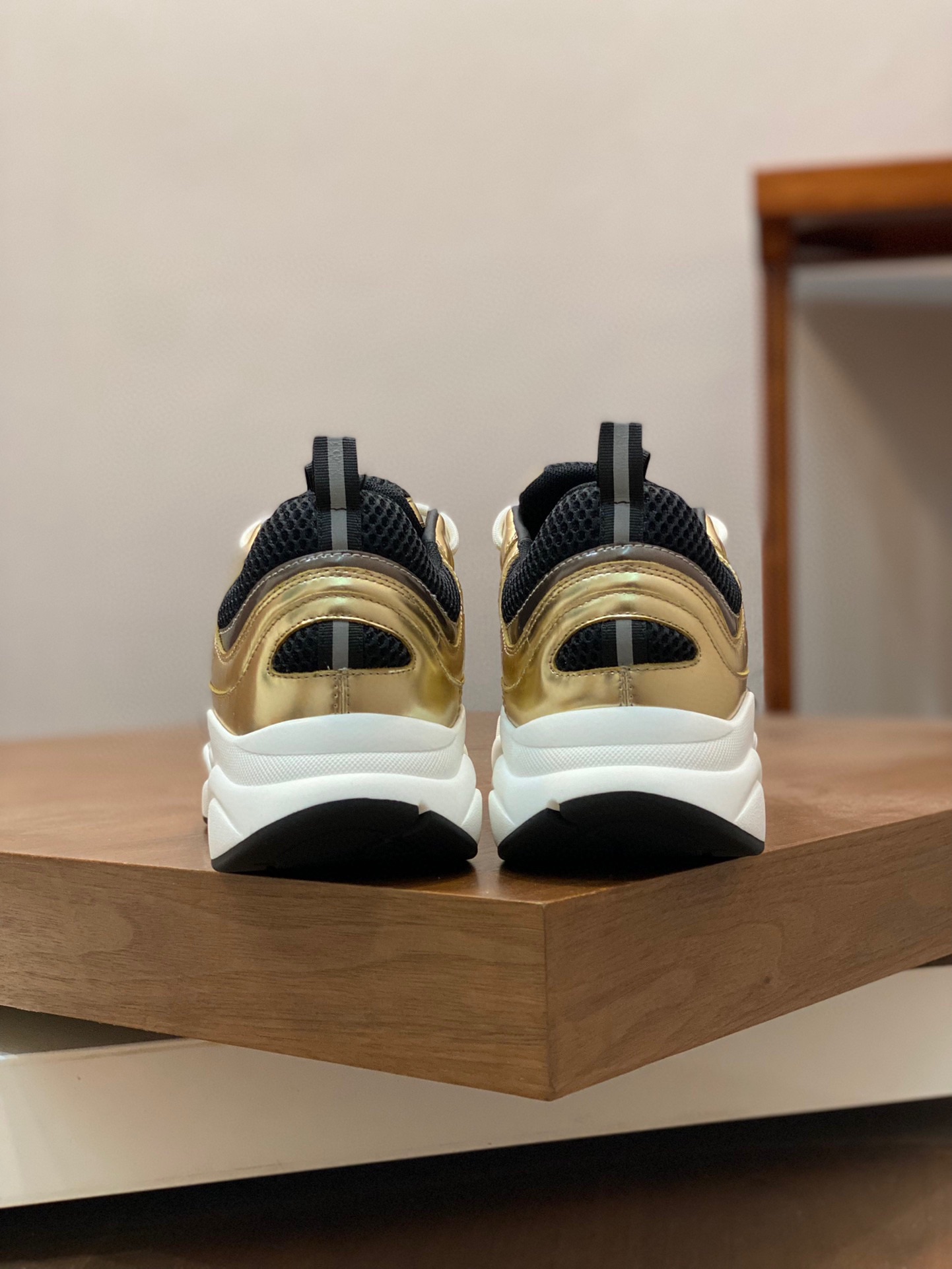 DIOR B22