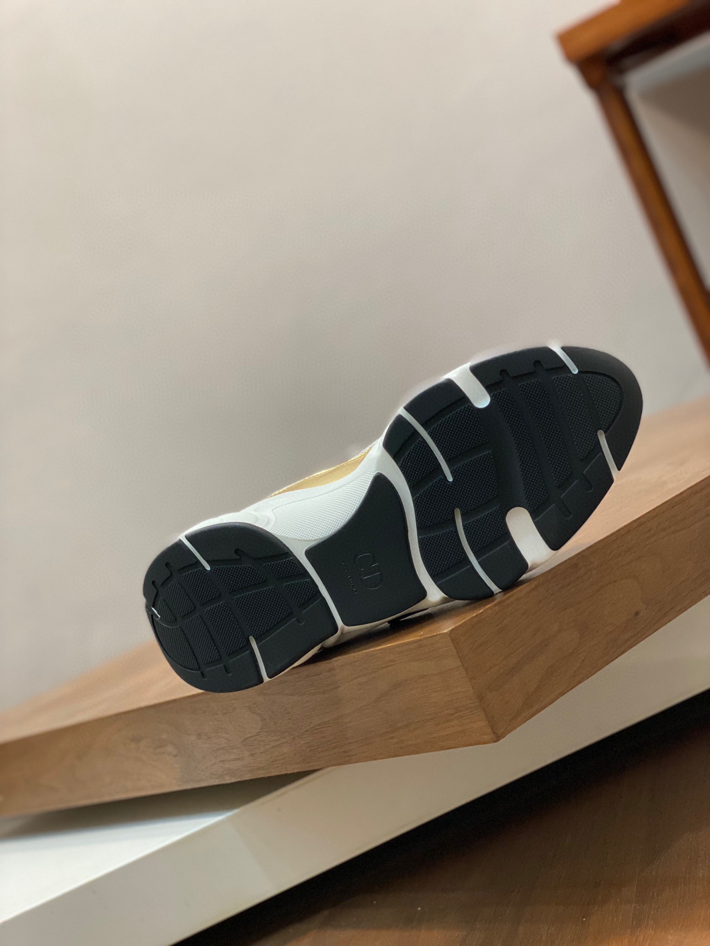 DIOR B22